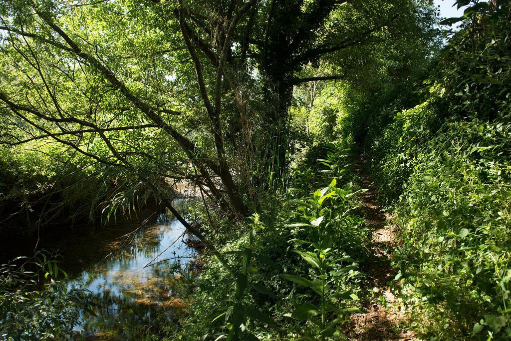 Recanto Da Ribeira Casas De Campo Моншики Экстерьер фото
